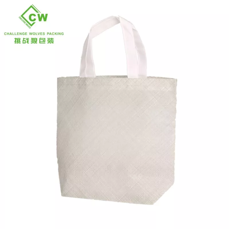 Reusable Bag